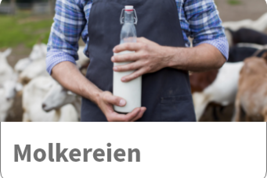 Ausflüge Bild 2