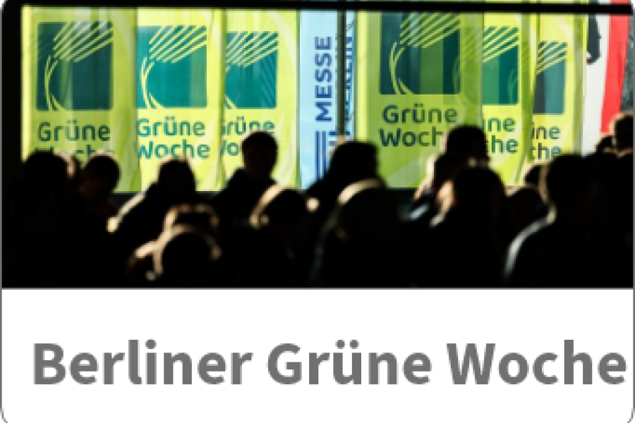 Ausflüge Bild 5