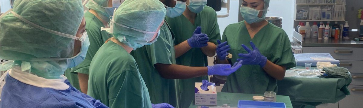 UKSH hautnah erleben Berufliche Schule des Kreises Stormarn in Bad Oldesloe