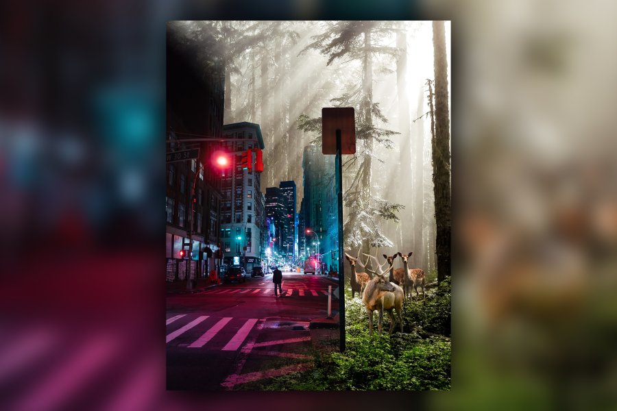 __Ergebnisse__ unserer Schülerinnen und Schüler Bild 1