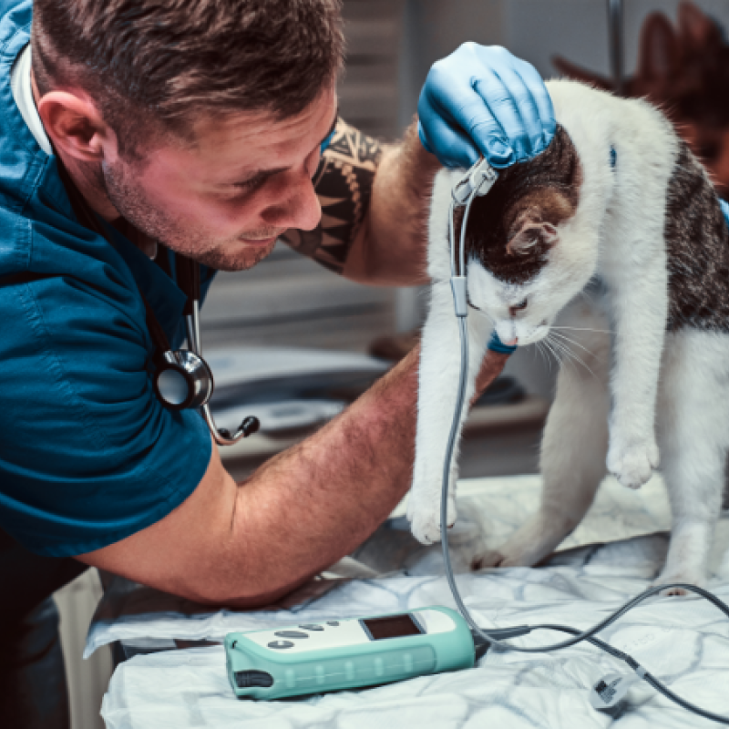  Berufliche Schule des Kreises Stormarn in Bad Oldesloe