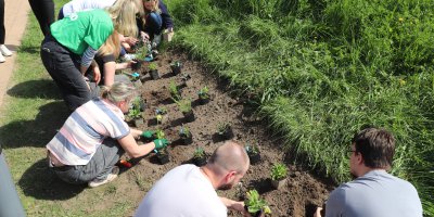 VielFALTERleben – Ein schmetterlingsfreundlicher Garten entsteht