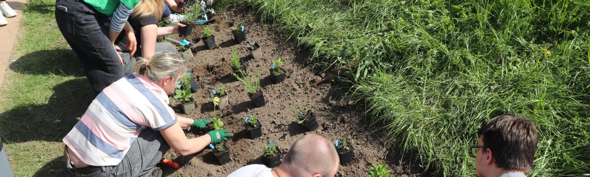 VielFALTERleben – Ein schmetterlingsfreundlicher Garten entsteht Berufliche Schule des Kreises Stormarn in Bad Oldesloe