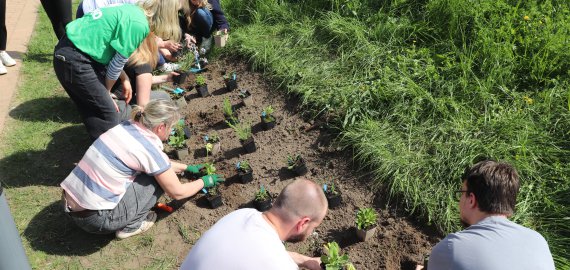 Bild zu VielFALTERleben – Ein schmetterlingsfreundlicher Garten entsteht