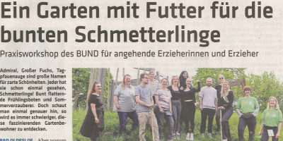 Ein Garten mit Futter für die bunten Schmetterlinge