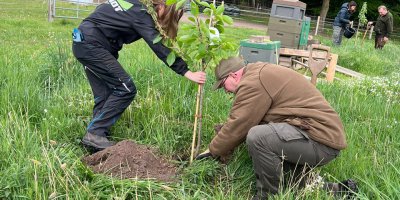 Klasse der Ausbildungsvorbereitung engagiert sich für die Zukunft und pflanzt Bäume Gemeinsam wachsen – für Natur, Gesellschaft und Beruf