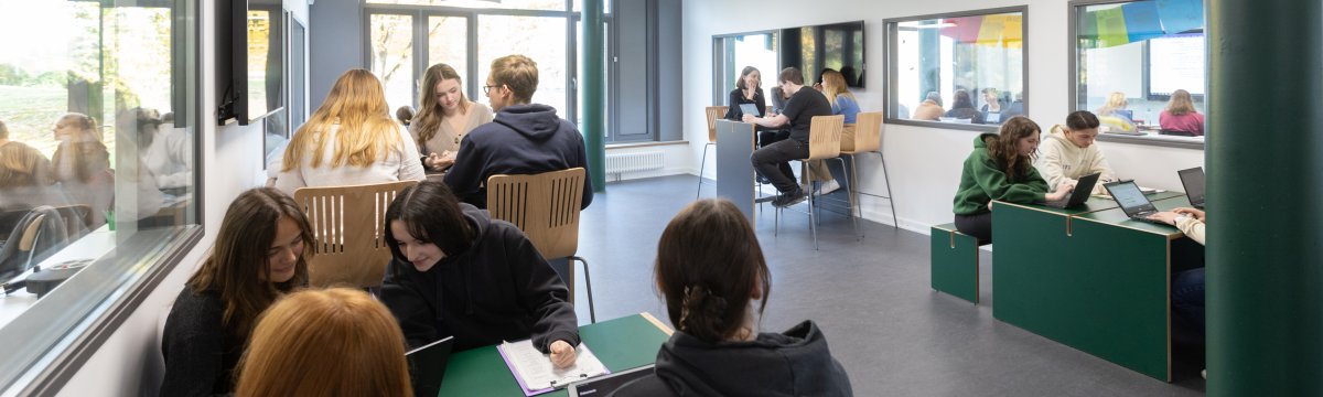 Unser Bildungsangebot Berufliche Schule des Kreises Stormarn in Bad Oldesloe