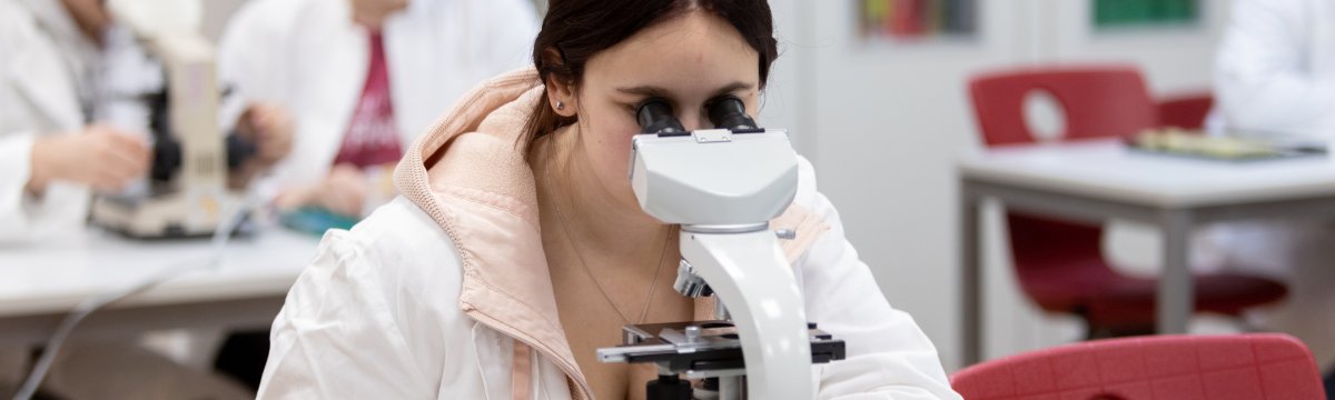 Berufliches Gymnasium Berufliche Schule des Kreises Stormarn in Bad Oldesloe