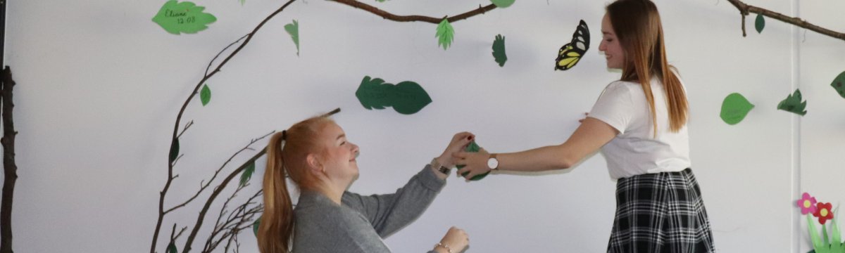 Staatlich anerkannte Erzieherin/Staatlich anerkannter Erzieher (3,5 Jahre) Berufliche Schule des Kreises Stormarn in Bad Oldesloe