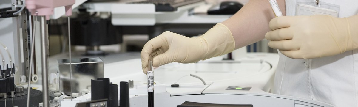 Profil: Gesundheit und Soziales Berufliche Schule des Kreises Stormarn in Bad Oldesloe