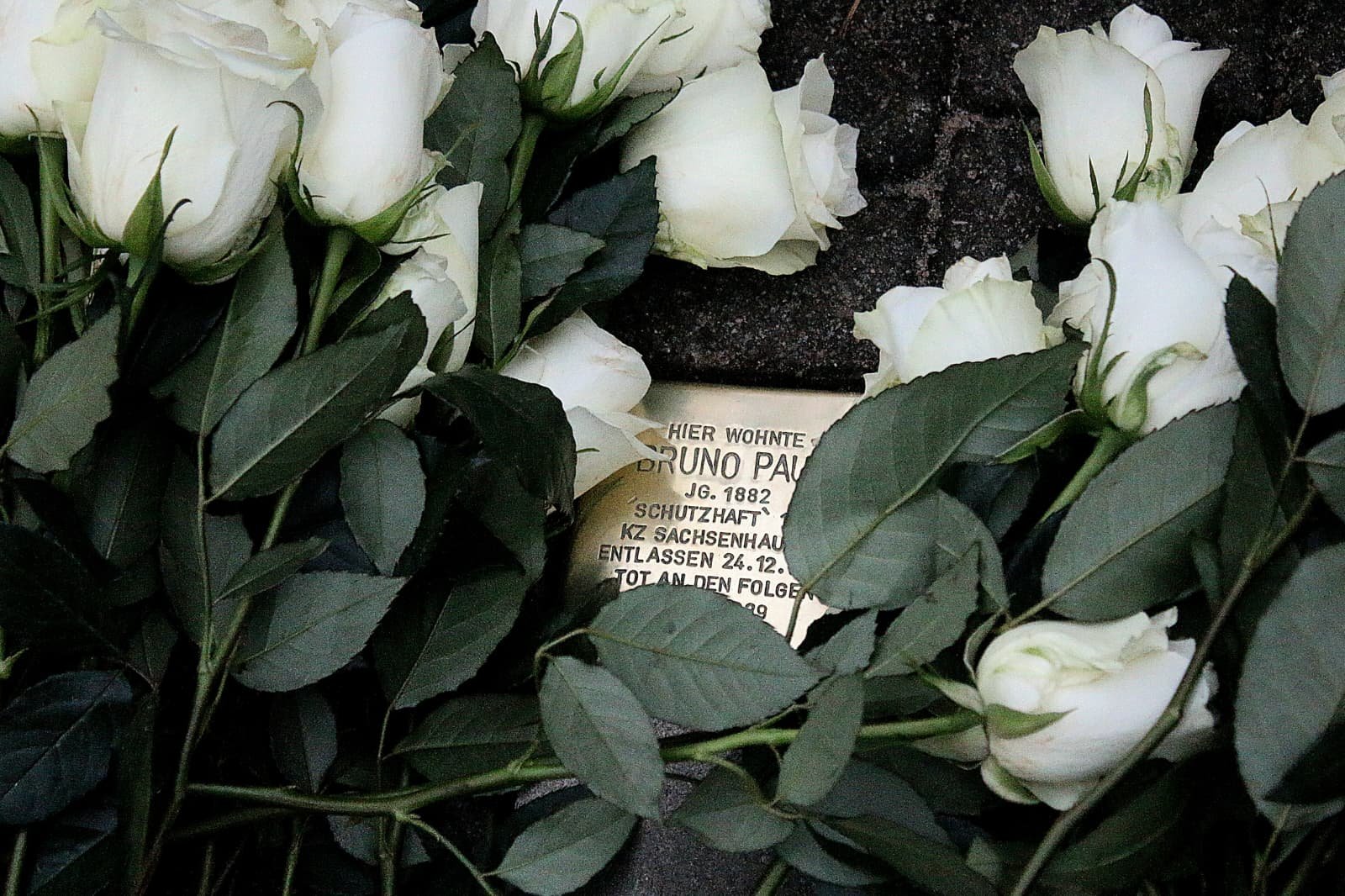 Stolperstein mit niedergelegten Rosen zum Gedenken