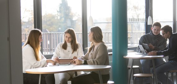 Bild zu MINT Entdeckertage 2026