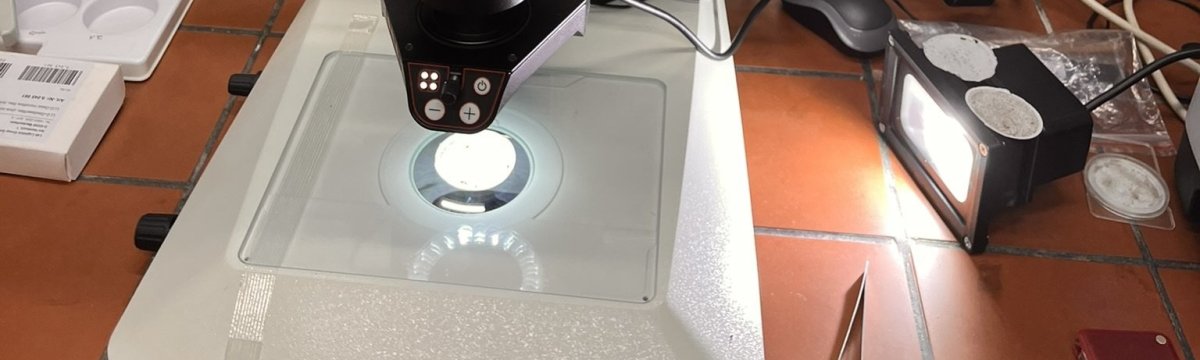 One Earth – One Ocean Berufliche Schule des Kreises Stormarn in Bad Oldesloe One Earth – One Ocean Berufliche Schule des Kreises Stormarn in Bad Oldesloe