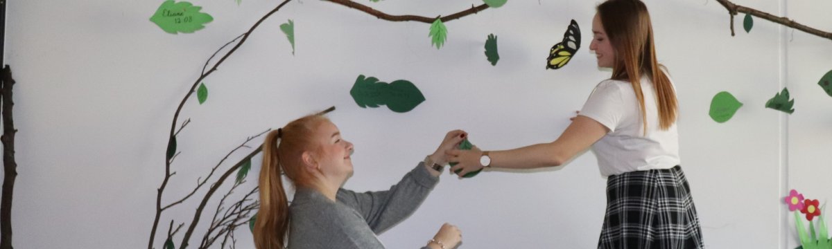 Staatlich anerkannte Erzieherin/Staatlich anerkannter Erzieher (3,5 Jahre) Berufliche Schule des Kreises Stormarn in Bad Oldesloe