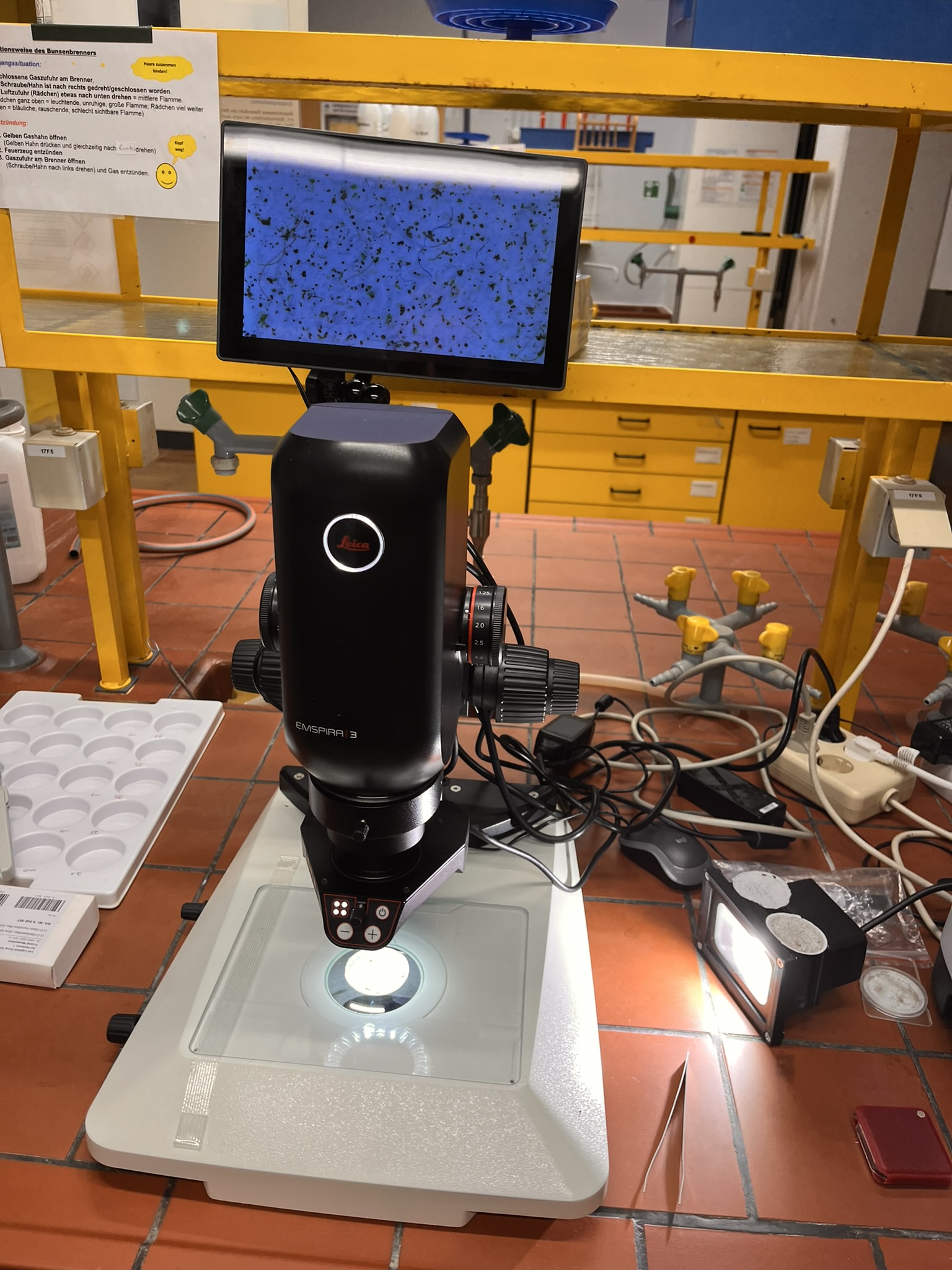 Was im Fluss treibt, landet unter unserem Mikroskop. Mikroplastik-Check: von der Probe bis zur Auswertung.